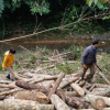Cần xử lý nghiêm vụ gần chục hécta rừng bị “cạo trắng” ở vùng giáp ranh