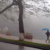Hà Nội sương mù, Tây Bắc Bộ và Đông Bắc Bộ mưa nhiều