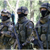 Phần Lan sẽ trợ lực những gì cho NATO?
