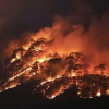 10 ha rừng bị ảnh hưởng sau vụ cháy rừng trên đèo Prenn Đà Lạt
