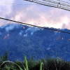 Đang cháy rừng ở núi Voi, Lâm Đồng