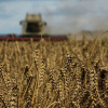 Liên minh châu Âu gia hạn lệnh cấm đối với ngũ cốc Ukraine
