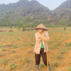 El Nino tác động đến Việt Nam, cảnh báo hạn hán, thiếu nước kéo dài đến 2025