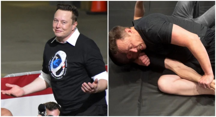 elon-musk-mma-fight-2-frontkickonline-07465540