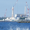 Tổng Giám đốc IAEA xác nhận độ an toàn khi Fukushima xả thải ra biển