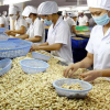 3 doanh nghiệp Việt xuất khẩu tiêu, điều nghi bị đối tác UAE lừa đảo, quỵt tiền