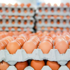 Hồng Kông gỡ bỏ lệnh cấm nhập khẩu trứng gia cầm từ Việt Nam