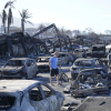 Cháy rừng ở Hawaii: 67 người chết, thiệt hại nhiều tỷ USD