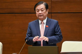 Bộ trưởng Lê Minh Hoan: Dùng từ giải cứu làm nông sản càng rớt giá