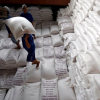 Giá gạo tăng kỷ lục, châu Á đứng trước nguy cơ gặp 