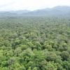 Bình Thuận phá hơn 600 ha rừng làm hồ thuỷ lợi