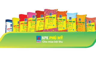 NPK Phú Mỹ: Hoàn thiện bộ sản phẩm bằng cái tâm