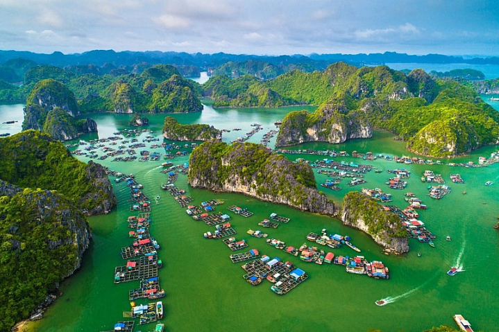 vinhhalong20230916235856