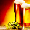 Biến đổi khí hậu có thể làm giảm chất lượng bia