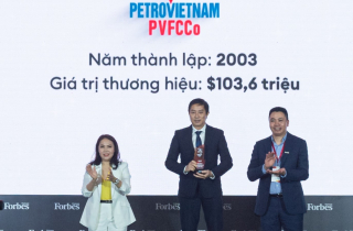 PVFCCo – Top 25 thương hiệu công ty hàng tiêu dùng cá nhân và công nghiệp dẫn đầu Việt Nam năm 2023