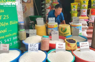 Giá gạo Việt Nam xuất khẩu lập đỉnh 15 năm