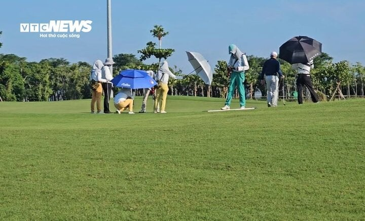 golf-1-11261689