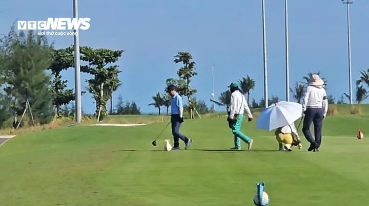 golf-6-11295579