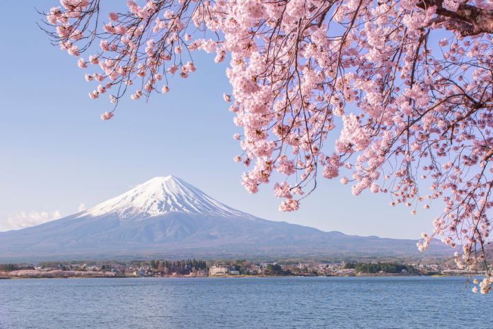 Fuji - Japan