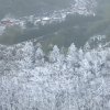 Giá rét kỷ lục gây mưa tuyết hiếm hoi ở miền nam Trung Quốc