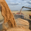 Nga gia hạn lệnh cấm xuất khẩu gạo đến hết tháng 6-2024
