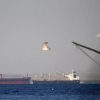 Houthi tấn công tàu chở dầu của Anh