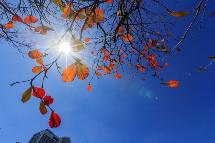 52161631_23007877632-1708125092745