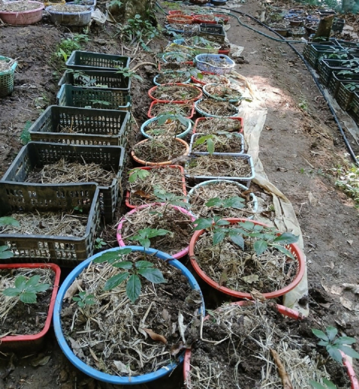 anh-1709097089531