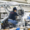 Sản xuất công nghiệp của Nhật Bản giảm mạnh do bê bối của Toyota