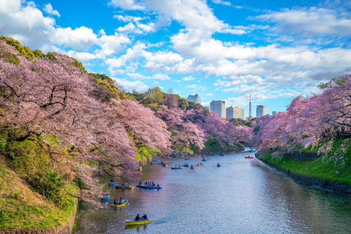 Fuji - Japan