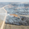 Lính cứu hỏa Mỹ vật lộn với cháy rừng lịch sử ở Texas