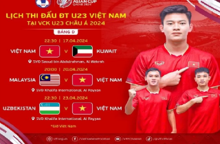 Ai thay HLV Troussier dẫn dắt U23 Việt Nam?