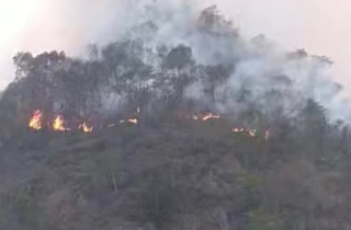 Huy động gần 250 người dập đám cháy rừng tại Sơn La