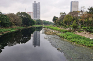 “Hồi sinh” những dòng sông bị ô nhiễm:Triển khai nhiều giải pháp