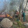 Bà Rịa-Vũng Tàu: Hơn 28.000ha rừng đối mặt với nguy cơ cháy