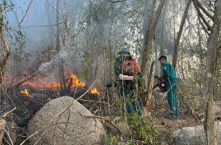 Bà Rịa-Vũng Tàu: Hơn 28.000ha rừng đối mặt với nguy cơ cháy