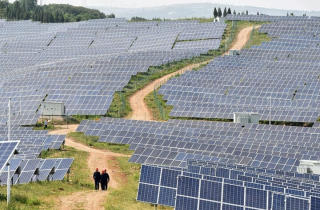Tăng trưởng năng lượng mặt trời Trung Quốc chậm lại vì lưới điện không theo kịp