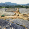 Hà Nội: Làm rõ trách nhiệm liên quan sự cố tràn bùn thải ở khu xử lý rác Sóc Sơn