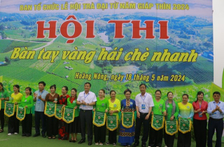 Thái Nguyên: Sôi nổi Hội thi “Bàn tay vàng hái chè nhanh”