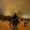 Chile: ‘Sốc’ với động cơ gây cháy rừng khiến 137 người thiệt mạng
