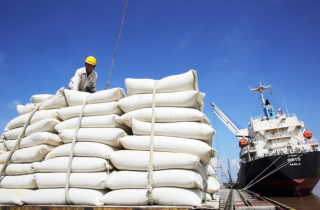 4 tháng đầu năm, Việt Nam xuất khẩu 3,4 triệu tấn gạo