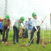 Petrovietnam: Trồng cây xanh là giải pháp quan trọng trong chuyển dịch năng lượng