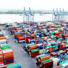 Điều tra các trường hợp nghi bị “rút ruột” hàng hoá tại cảng Cát Lái