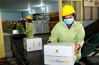 Giá xuất khẩu tiệm cận mức 1.000 USD/tấn, gạo Việt Nam vẫn loay hoay chuyện xây dựng thương hiệu