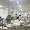 Xác định nguyên nhân vụ nổ bồn chứa bụi làm 9 người bị thương