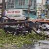 TP Hồ Chí Minh: Hàng loạt sự cố xảy ra trong cơn mưa lớn, gió mạnh