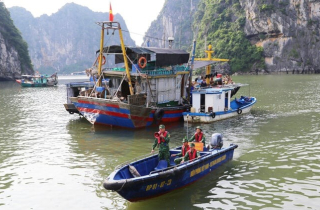 Ứng phó siêu bão Yagi, Quảng Ninh và Thái Bình cấm biển