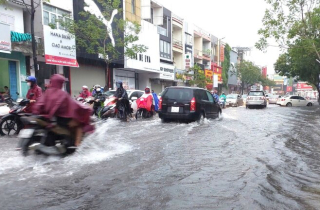 Đà Nẵng cho học sinh nghỉ học phòng chống bão số 4