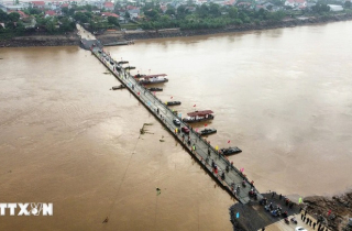 Cầu phao Phong Châu bắt đầu hoạt động từ sáng nay