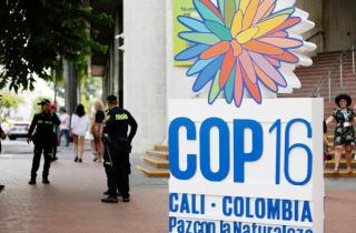 Nhiều kỳ vọng với hội nghị COP16 tại Colombia